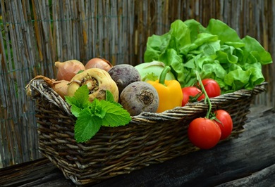 funzioni delle vitamine