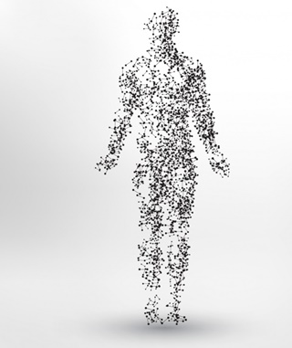 il calcio con la vitamina D